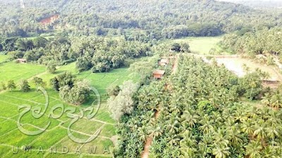 Photos of Umandawa Maha Vihara Monastery