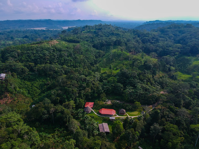 Yachana Foundation by null