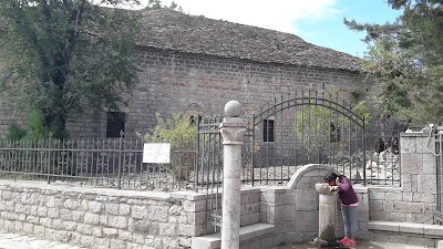 Photos of Shen Kolli
