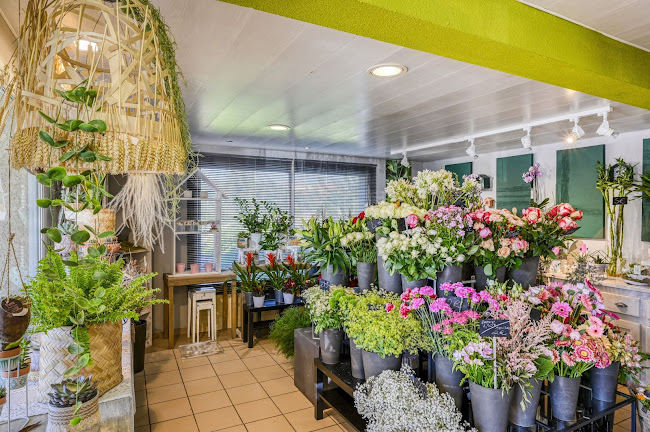 2 Rue des Prés, 34820 Teyran