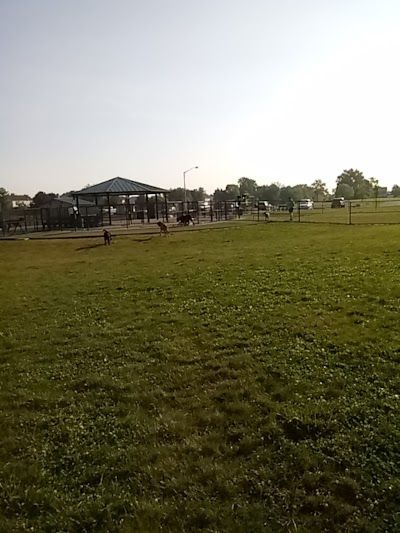 Dog park