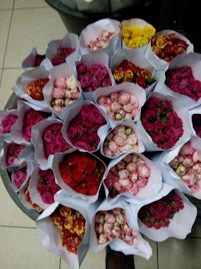 Curugsewu Florist, Author: Moehtar_ Rom