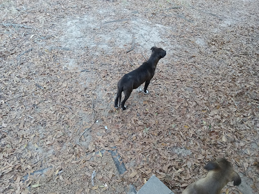 Mobile SPCA - Thumbnail