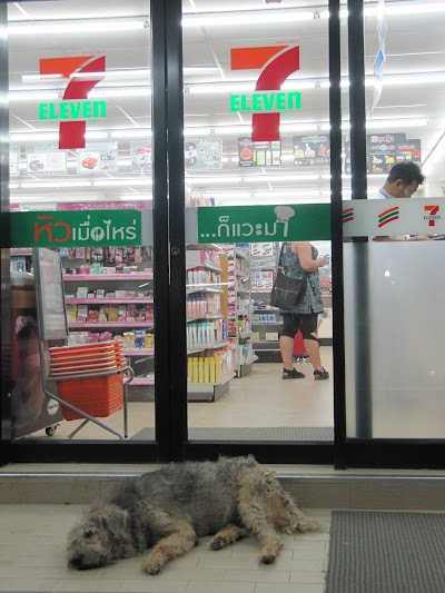 Convenience Store