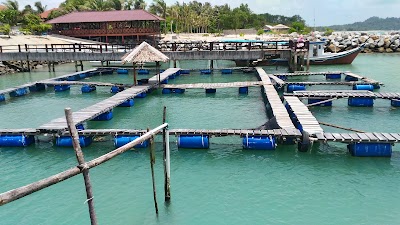 Photos of Watersport Tongaci