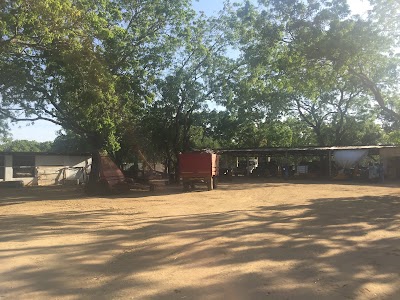 Photos of Ridiyagama NLDB Dairy Farm
