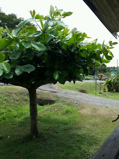 Photos of Planta Guapiles