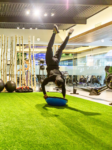 Push Fitness Club of Fresh Meadows - Thumbnail
