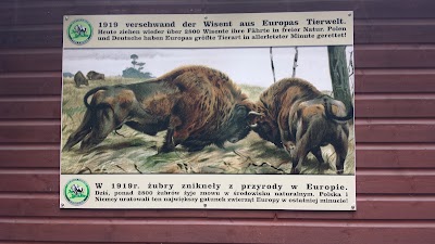 Photos of Wisentgehege Insel Usedom