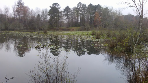 Van De Graaff Park and Arboretum - Thumbnail
