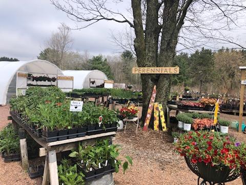Clearview Garden Center - Thumbnail