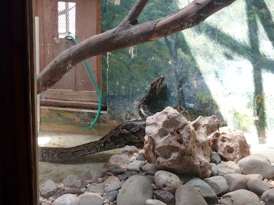 Photos of Chinese Garden, Hope Gardens
