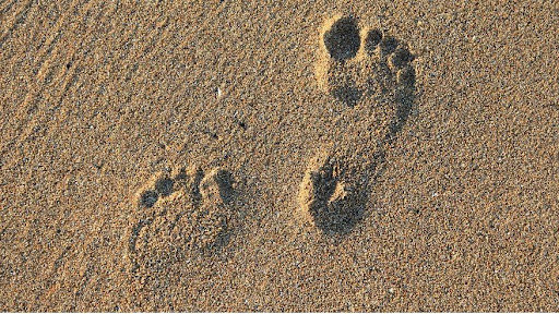 Williamstown Podiatry Services
