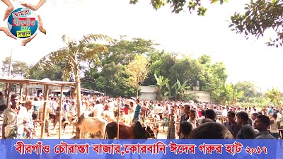Photos of বীরগাঁও চৌরাস্তা বাজার