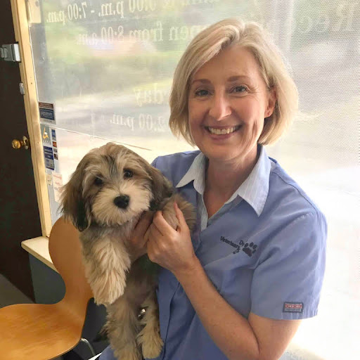 Denistone Veterinary Surgery Gallery - Australia