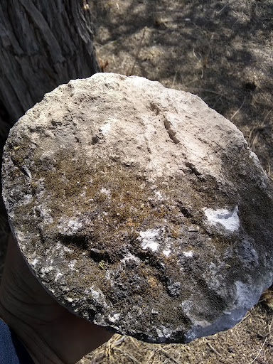 Old Archaeological Zone Tepexi - Thumbnail