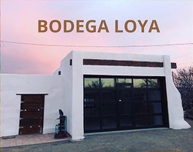 Bodega Loya - Visual