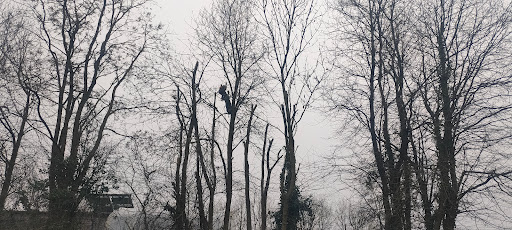 Photo de SoEko Outdoor à Radon (61250)