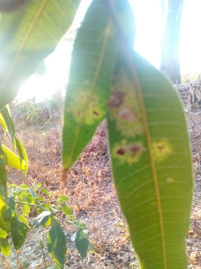 Photos of Aldea Margaritas, Chiquimulilla Santa Rosa