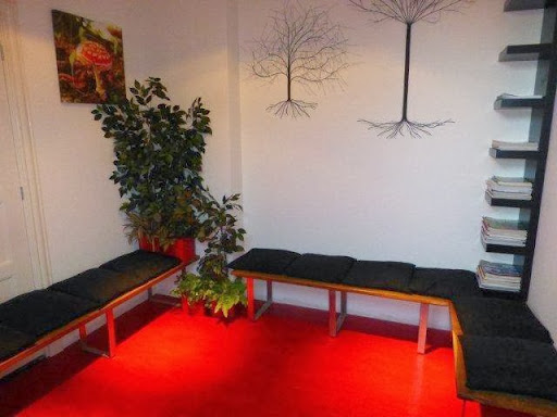 Arnhem North Physiotherapy Gallery - Netherlands