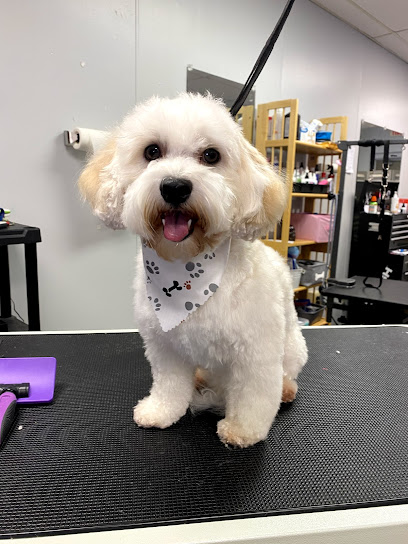 FurBabies Pet Spa Full Service Grooming & Self Serve Wash