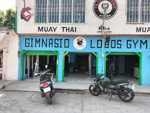 Gym Lobos - Visual