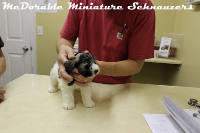 Photos of County Line Veterinary Services
