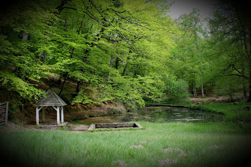 Fontaine de la Coudre - Thumbnail