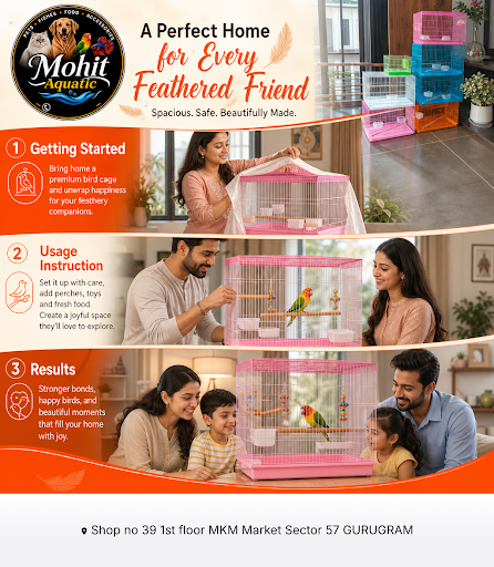Discover high-quality bird cages at MOHIT AQUATIC, your local aquarium shop. We offer a wide sele… post image
