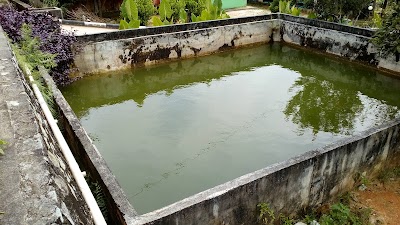 Photos of Balai Benih Ikan Air Tawar DKP Beltim