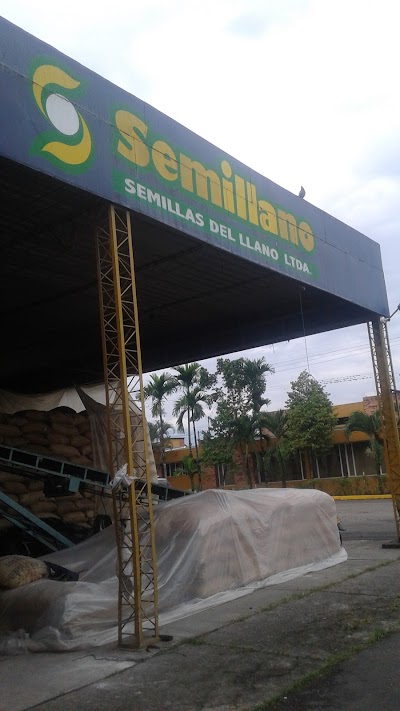 Photos of Semillano