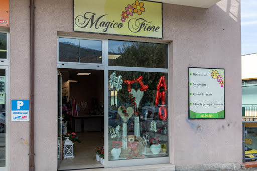 Magico Fiore - Visual