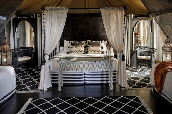 Paperbark Camp by null