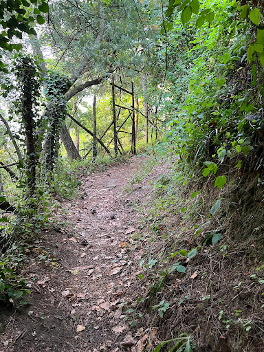 Sorrento - Sant'Agata (via Acquacarbone) - Thumbnail