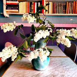 Photo n°29 de Le Compotier à Gap (Restaurant français)