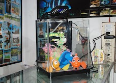 Fancy Aquarium City – Karachi