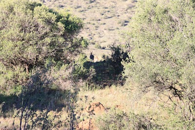 Photos of Gariep Dam Nature Reserve