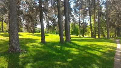 Photos of pine Hill