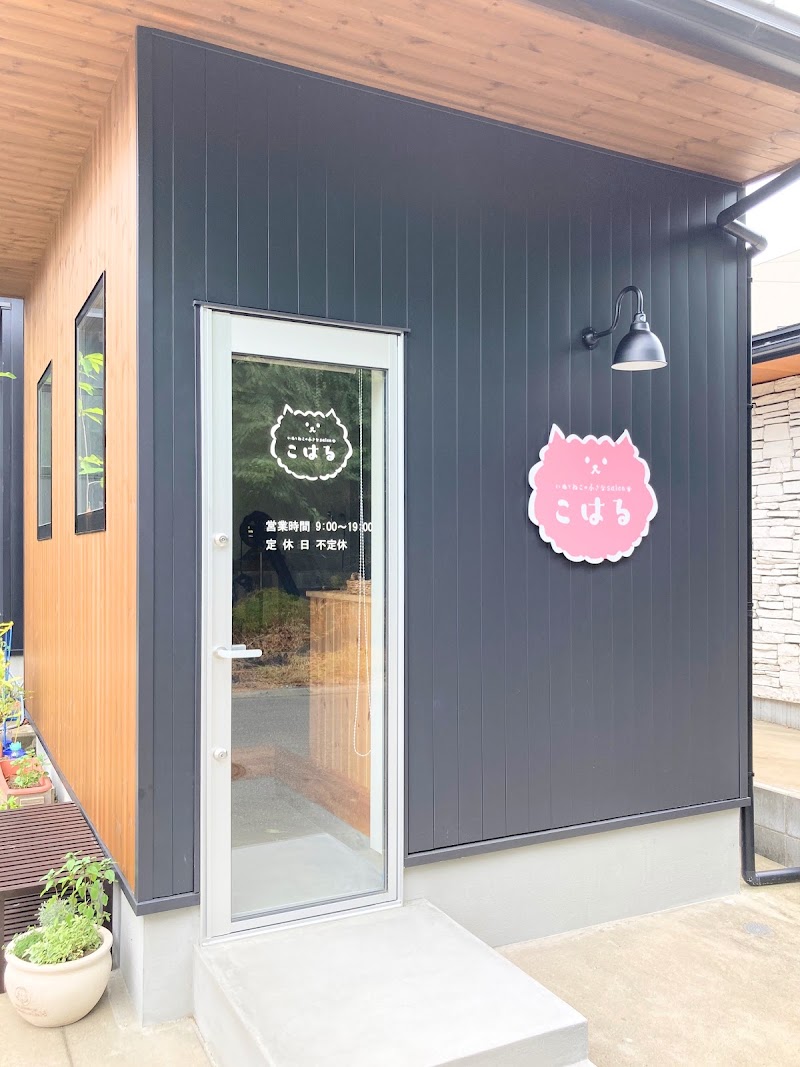 いぬとねこの小さなsalon こはる