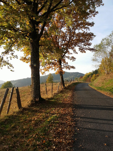 Societe de Tir de Moyenmoutier