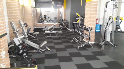 MASTER Gym