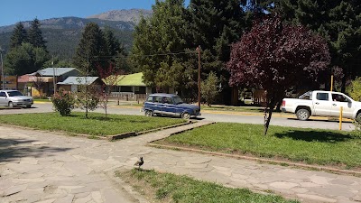 Photos of La Casa Del &Aacute;rbol