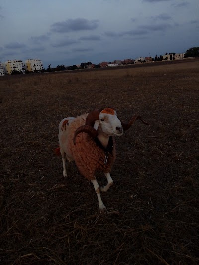 Photos of Le Djurdjura