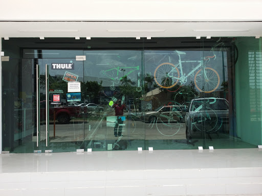 TRANSITION SPORT