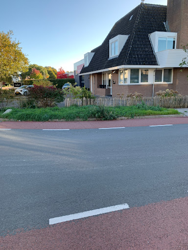 Vanderloo Gallery - Netherlands