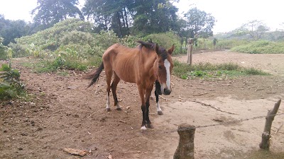 Photos of Brisas Del Este