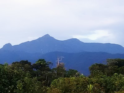 Photos of Cerro Torra