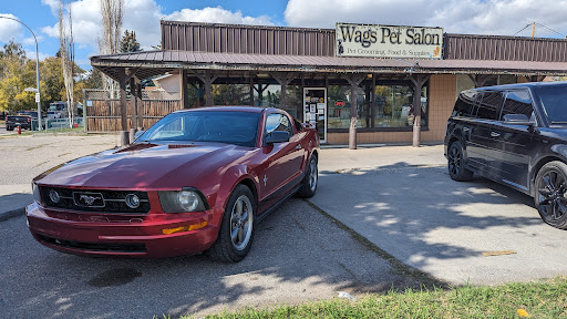 Wags Pet Salon - Thumbnail
