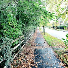 Harrock Wood – National Trust liverpool