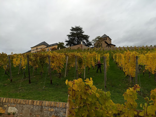 Weingut Fritz Allendorf Logistik